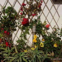 PICT0123