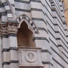 PTIM000533