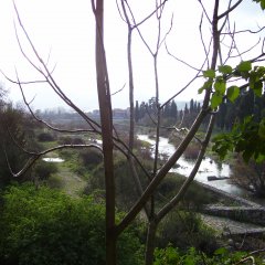 gita2007037_52
